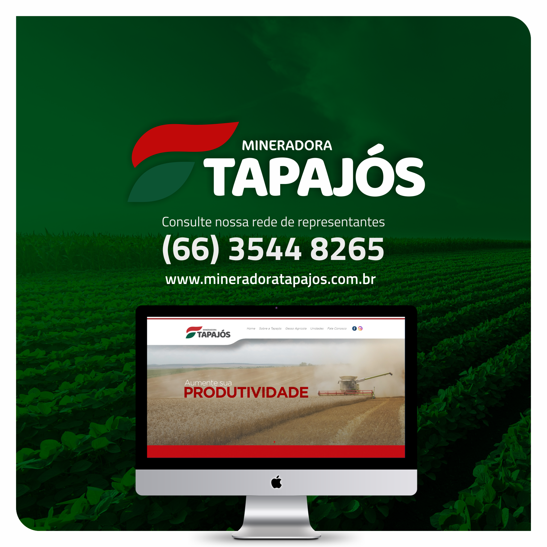 Criação de Conteúdo - Mineradora Tapajós