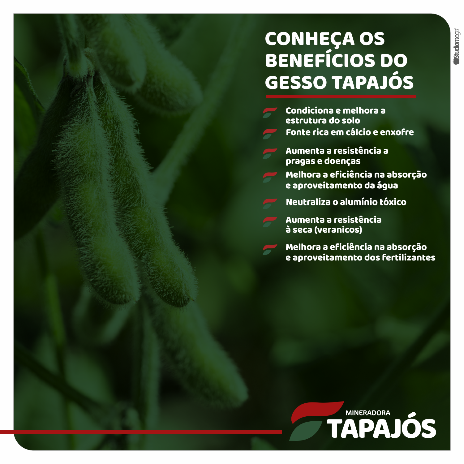 Criação de Conteúdo - Mineradora Tapajós