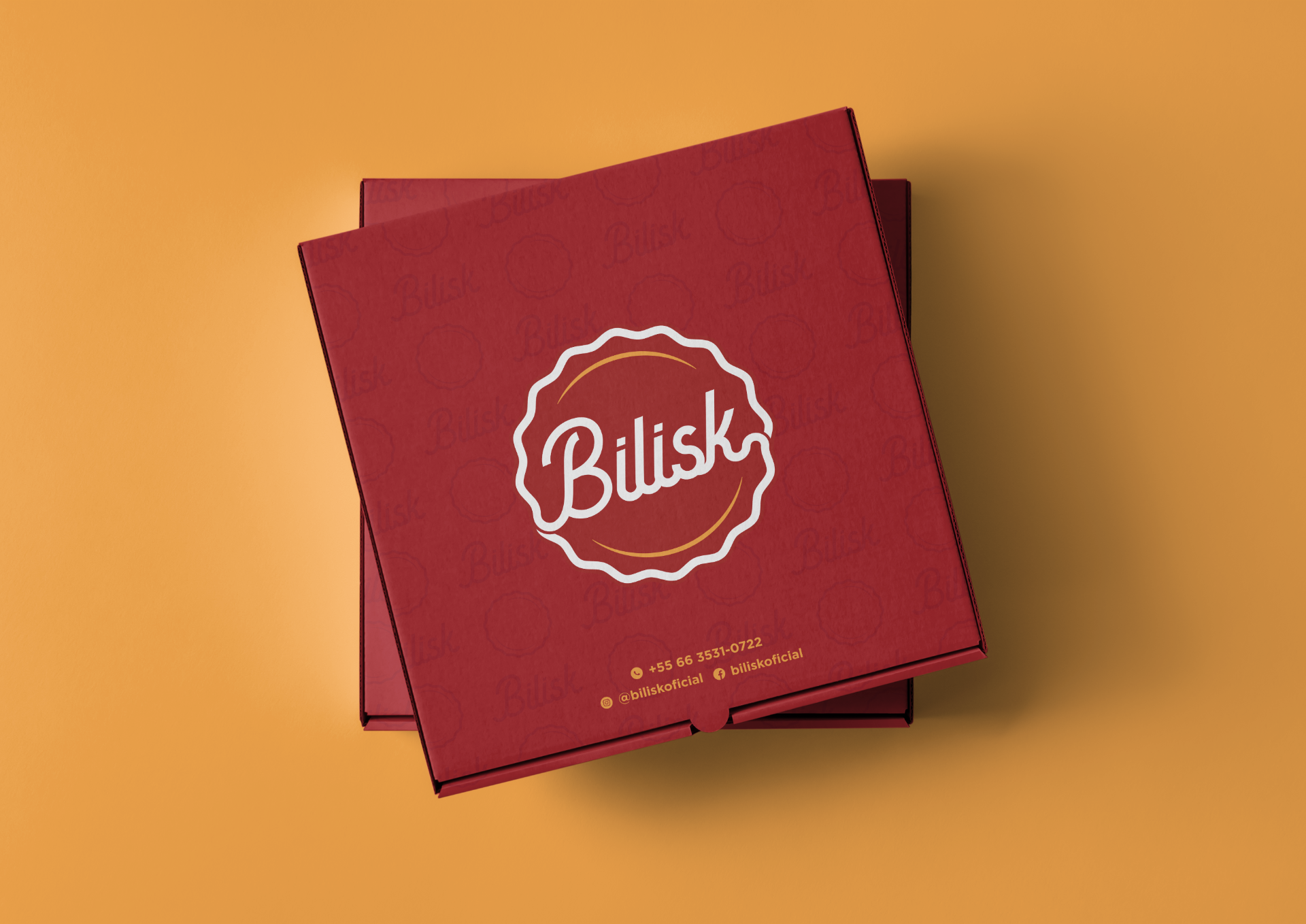  Rebranding - Bilisk